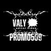 valy🗯️promo@509