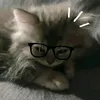 khadija.alhyan1
