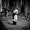 thien.nguyen199