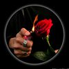 hasibul2793