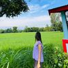 partima.tharu286