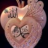 user86394419404221