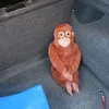 joseba.jartangas2
