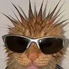 chelseaplaysroblox