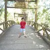 thien2024_brvt