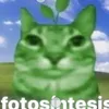 dr_pc100