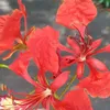 tuyet.p_g26_12