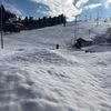 1245lobogo