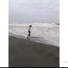 yandri2306