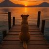 solitario.307