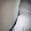 zeque_7