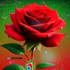 md.sohag.mia645