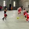 tiziano.makina22