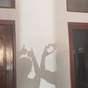 delfio.neto