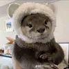 bongcuu5