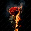 hearts4marxo
