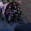 soso.2008.17