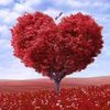 user2044037508272