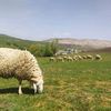 mohamedeoussam.ti