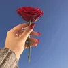 emanalhamed4