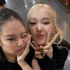 _lia.chaenini