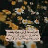 user4910490502613