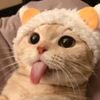 🫧KAT🫧
