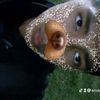 erickc1o1
