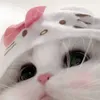 qaclo_
