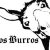 losburrosproductions
