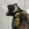 tvycutehotme_91