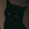 tayron2414