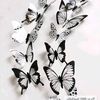 fatimaibrahim6169