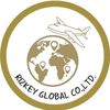 RizkeyGlobal