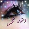 user923008351