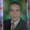 aliali.ali.ali01
