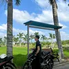 sangnguyen7428