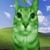 mrgreen_2000