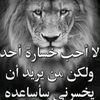 user9291620821828