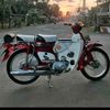 icang.rh