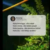 hii_lanzzz