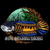 ceochanabiasa3