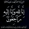 rebinxoshnaw120