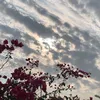 بمفردي اجمل