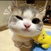 10vely_nayla