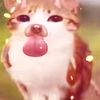 s4lwaa_67