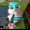 user7625841744020