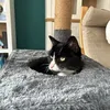 marie24m