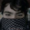 zl._q