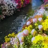 kiem.nguyen820